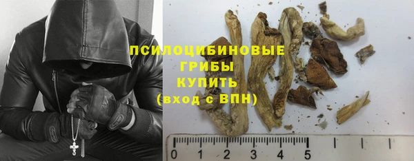 кокс Дмитриев