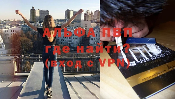 кокс Дмитриев