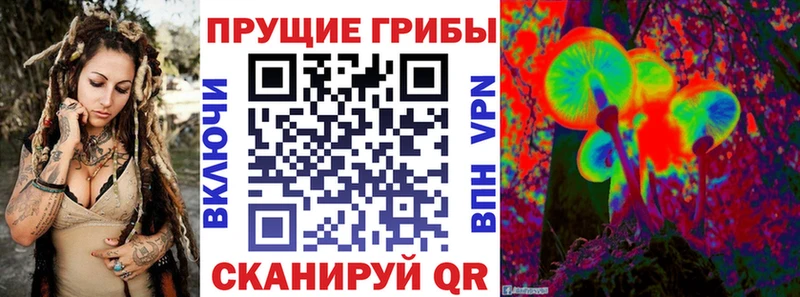 Галлюциногенные грибы Psilocybe  Пермь 